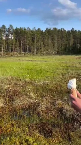 Người mạnh mẽ không phải người chẳng đau, mà là người dám bước đi dù tim rách nát. Họ hiểu, cô đơn không đáng sợ, chỉ sợ đánh mất bản thân giữa đám đông.#hoàiniệm #khungcảnhchữalành #phongcảnhhồngtrần #phongcảnhthiênnhiên 