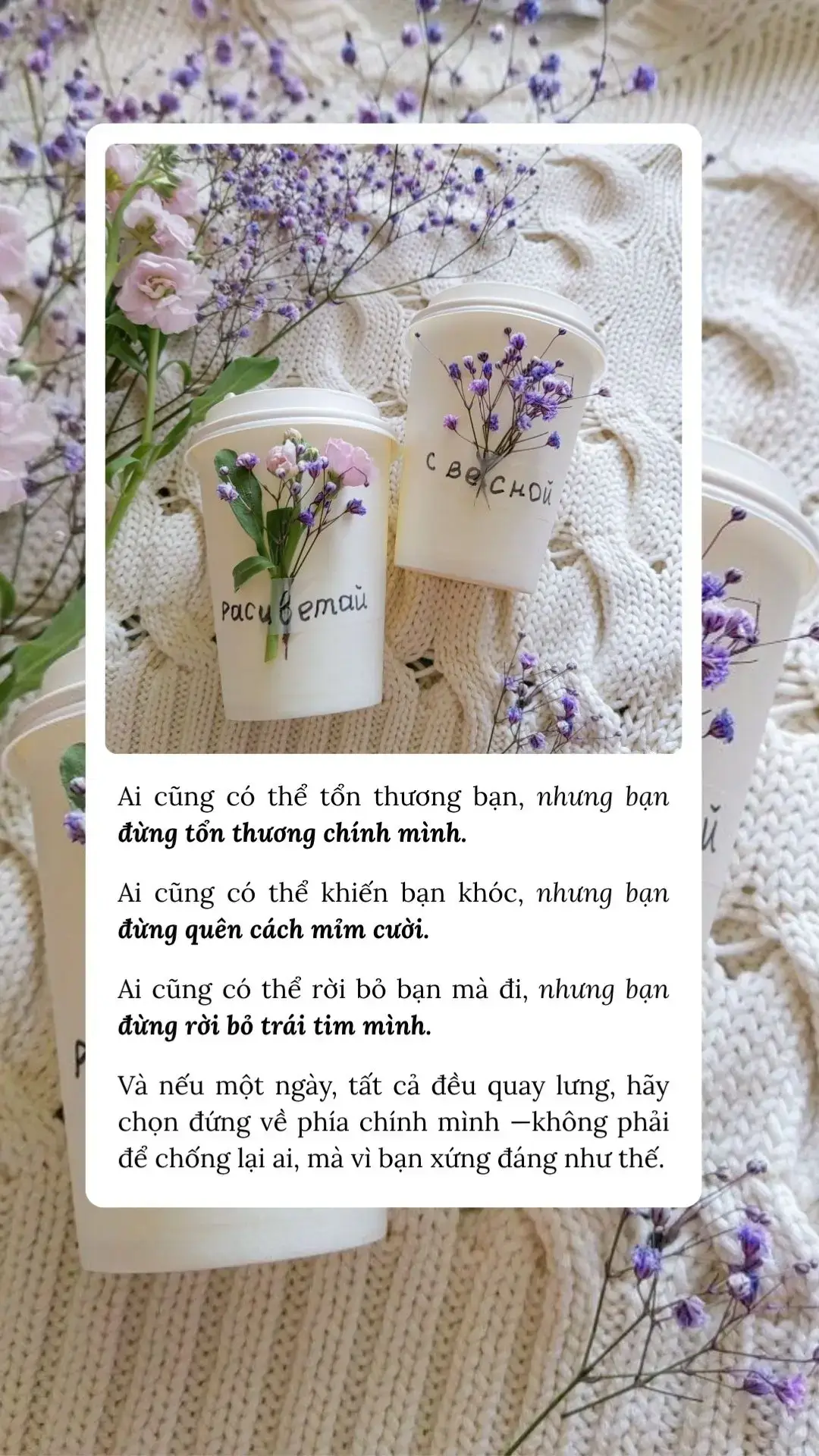 #bachhoabinhyen #chualanh 