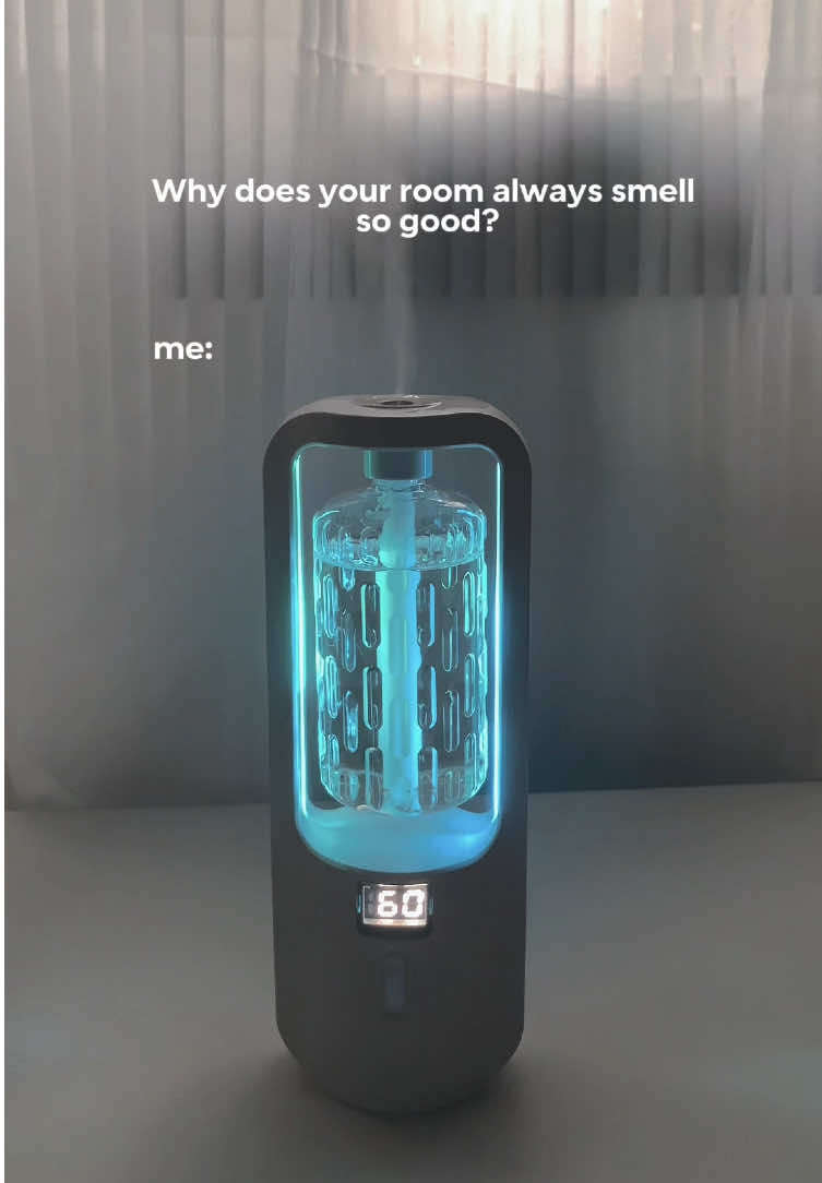 A little humidity makes everything feel like home ✨ #humidifier #aromatherapy #aromatherapydiffuser #christmasfinds #freshmist 