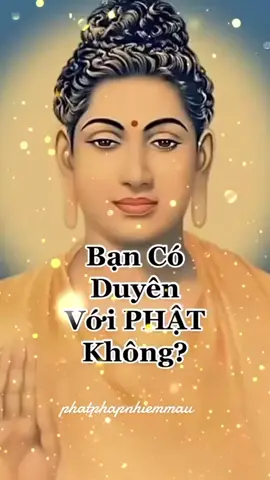 Nam Mô A Di Đà Phật #xuhuong #loiphatday #phatphap #thichgiackhang #phatphapvadoisong   