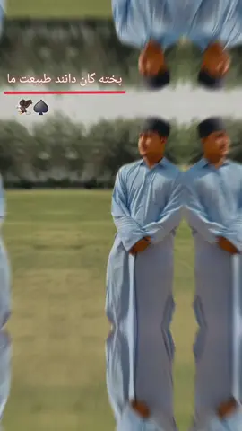 #creatorsearchinsights #طنز #فاریو #پشتون_تاجیک_هزاره_ازبک_زنده_باد🇦🇫 #طنز 