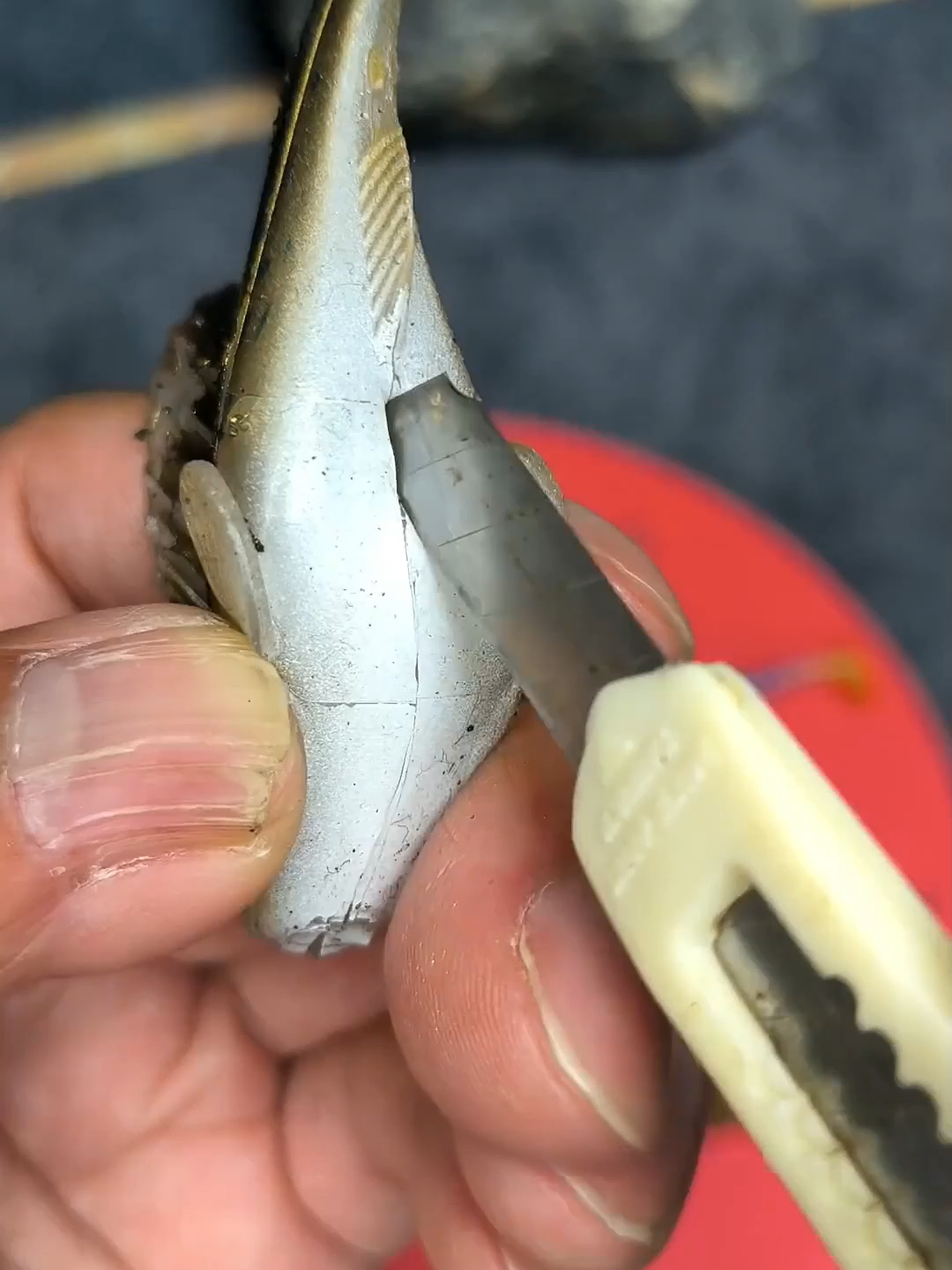 [ปฏิวัติวงการตกปลาครั้งใหม่! เหยื่อ 