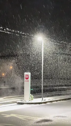 Semangat bolo🍂#japanvibes #fyp #japan 