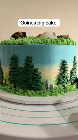 This incredible guinea pig cake was made by @waggaveganbakery it was the best bday surprise 