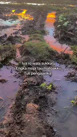 #fypシ゚viral🖤tiktok #storybugistiktok #bugispride🏝️🔥 #katakatabugis #katakatastorywa_ 