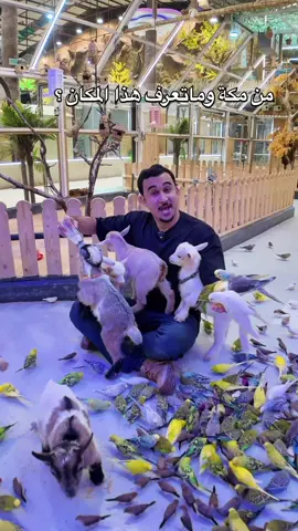 واحة العملاق - مكة - محطة العملاق 📍@واحة العملاق #مكة #جدة #الرياض ad