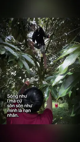 #xuhuong #xuhuongtiktok #tiktok #kimngan2705 