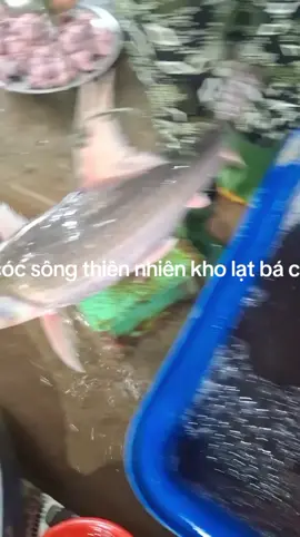 #cásôngthiênnhiên #ẩmthực #dulịch #cácóc #nhàhàng