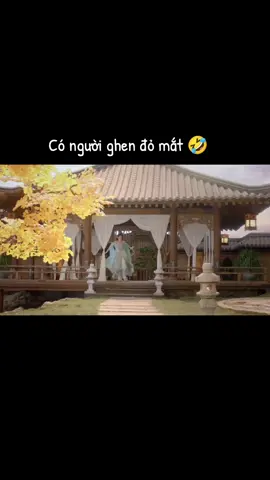 #zhangzhexu #mijin #biyin碧银💰 #zhangzhexu_mijin #nhịkim_truongtriethuc 