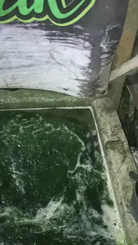 direaykan hari Kamis pagi😊 