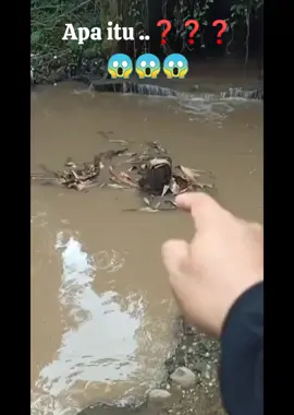 Ada yang tau itu apa ..❓❓😱😱😱 #siluman  #viral  #fypシ゚  #pengikut 