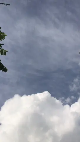 #fypppppppppppppppppppp #masukberandamuu #bismillahfyp #beatkarbumodifikasi                  #fyppppppppppppppppppppppp 