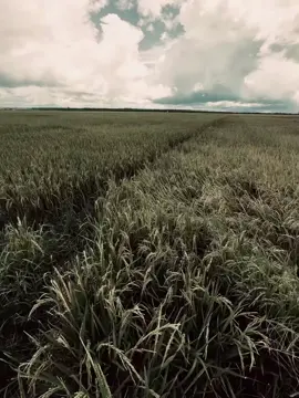 “我们是有缘相识,但上天却没有给我们在一起的机会” 