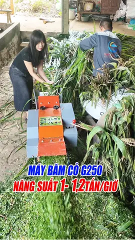 Máy băm cỏ G250 băm cả tấn cỏ mỗi giờ #binhquangroup #maynongnghiep #nôngnghiệp #bqg #thucanchannuoi 
