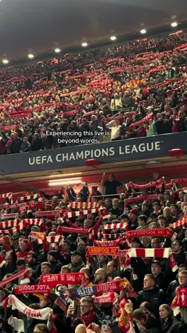 As a Madrid fan, watching this live was such a unique experience. The atmosphere at Anfield during Liverpool vs. Real Madrid was extraordinary. Congrats to Liverpool on winning this game and Hala Madrid! #ywna #liverpoolfc #championsleague #realmadrid🤍 