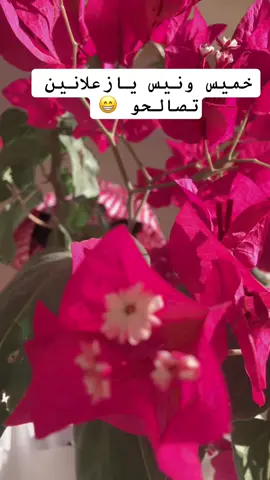 ويكند سعيد 🙂 