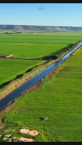 #اعادة_النشر🔃 #اكسبلور #تصميم_فيديوهات🎶🎤🎬 #المرج_بنغازي_البيضاء_طرابلس_ليبيا #غناوي_وشتاوي_علم_الليبي❤💯🔥 