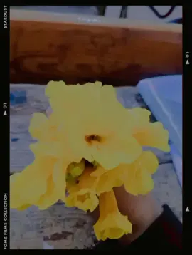 #habbyValntanDay #fypage #Fyyyyyyyyyyy #ثانوي عام ثانوي عام ثانوي عام ثانوي عام ثانوي عام ثانوي عام ثانوي عام #habbyValntanDay 