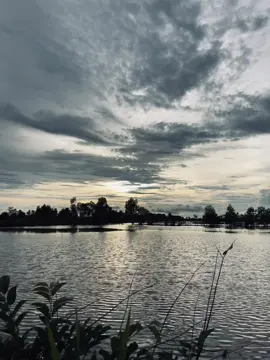 hoá ra lúc ta yêu nhau em chỉ toàn dối lừa…#nhactamtrang 