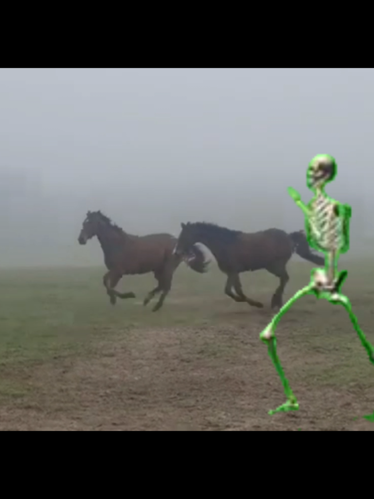 did you guys see that 👀 #horsefursona #meme #skeletonrunning 