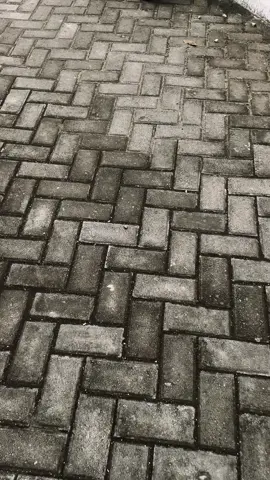 notyourtype #astrea #involved #fyp 