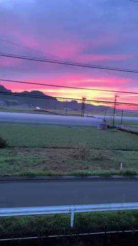 tips belanja supaya hemat di Jepang, biar dompet aman tapi tetap bisa makan enak: ⸻ 1. Pilih Supermarket yang Tepat Supermarket yang lebih murah daripada konbini: 	•	Gyomu Super (業務スーパー) — paling hemat, banyak bahan kiloan. 	•	OK Store — murah + banyak diskon. 	•	Seiyu (西友) — harga stabil, ada brand murah. 	•	AEON / MaxValu — banyak diskon malam. 	•	Don Quijote (ドンキ) — buat bumbu, camilan, kosmetik murah. Hindari sering belanja di FamilyMart, Lawson, Seven Eleven → MAHAL. ⸻ 2. Pergi Belanja di Jam Diskon Biasanya diskon 30–50% diberlakukan: 	•	Sore–Malam: 19:00–21:00 	•	Cari label (割引 / わりびき) → diskon 	•	Atau stiker % kuning/merah Contohnya: 	•	Ayam 500 yen bisa turun jadi 250 yen 	•	Sushi / Bento malam bisa turun setengah harga ⸻ 3. Beli Produk Private Brand Setiap supermarket punya brand murah: 	•	TOPVALU (AEON) 	•	SEIYU VALUE (Seiyu) 	•	PB di Gyomu Super Harga bisa 20–40% lebih murah dari brand biasa. Kualitas masih oke. ⸻ 4. Fokus ke Bahan Dasar yang Kenyang Yang murah dan tahan lama: 	•	Telur → protein murah 	•	Tahu & tempe Gyomu → hemat banget 	•	Kubis, tauge, wortel → sayur paling murah 	•	Udon / soba pack → 20–50 yen per bungkus Kalau beli ayam, pilih dada (むね肉) → paling murah. ⸻ 5. Jangan Beli Sekaligus Untuk Banyak Hari Belanja 2–3 hari sekali saja, supaya: 	•	Sayuran tidak cepat busuk 	•	Tidak tergoda beli yang tidak perlu ⸻ 6. Bandingkan Harga Per 100 Gram (100gあたり) Di Jepang, semua harga makanan dihitung per 100 gram. Sering kali kemasan besar = lebih mahal dari kemasan kecil. Jadi selalu lihat label kecilnya, bukan hanya angka besar di depan. ⸻ 7. Manfaatkan Poin & Cashless Pakai aplikasi: 	•	PayPay 	•	Rakuten Pay 	•	dPoint Banyak supermarket kasih cashback 1–5% atau point. Point itu bisa jadi uang belanja gratis. ⸻ 8. Jangan Pergi Belanja Saat Lapar Ini serius: kalau lapar, pasti beli yang nggak perlu 😆 Makan dulu sedikit → baru belanja → lebih terkontrol. #jisshusei🇮🇩x🇯🇵 #kenshuseijapan🇮🇩🇯🇵🎌 #viral #fyp #anakrantaujepang🇮🇩🇯🇵 #jepangindonesia🇯🇵🇲🇨 #tipsandtricks 