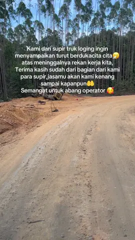 Rip#supirtrukindonesia #fyp 