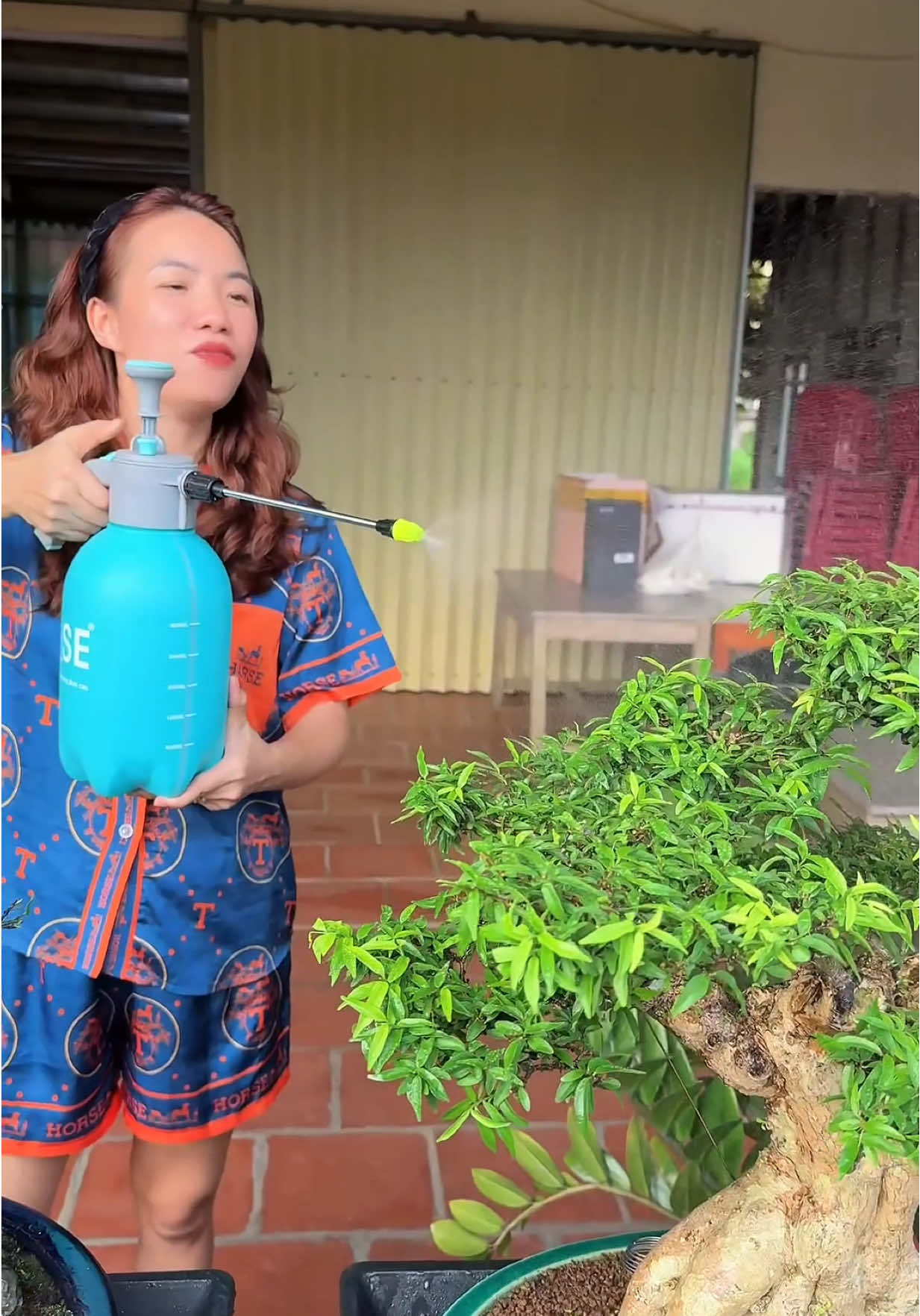 Bình tưới cây Gose 2L/3L Phun Sương, Phun Tia .. #xuhuong #binhtuoicay #huyenhomhinh365 