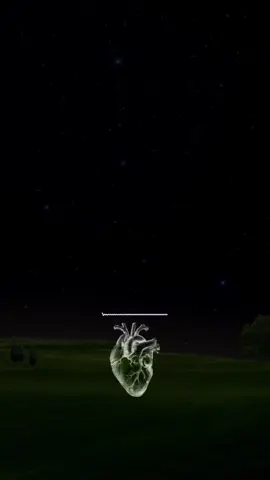 سعود الفايز 