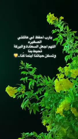 #عائلتي #💛💛 #fpy 