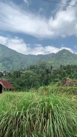 Tak samproan sek kang☺️#gambusarabic #alamindahdesaku #gambusindonesia #fypage #petungkrionopekalongan 