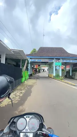 ☺️☺️☺️#tigermodifikasi #tigerpece #tigergank #tigeralbino 