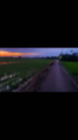 thương thiệt hongg😊 #chill #binhyenmoingay #canhdepmoingay #chillcanhdep #xhuongtiktok 