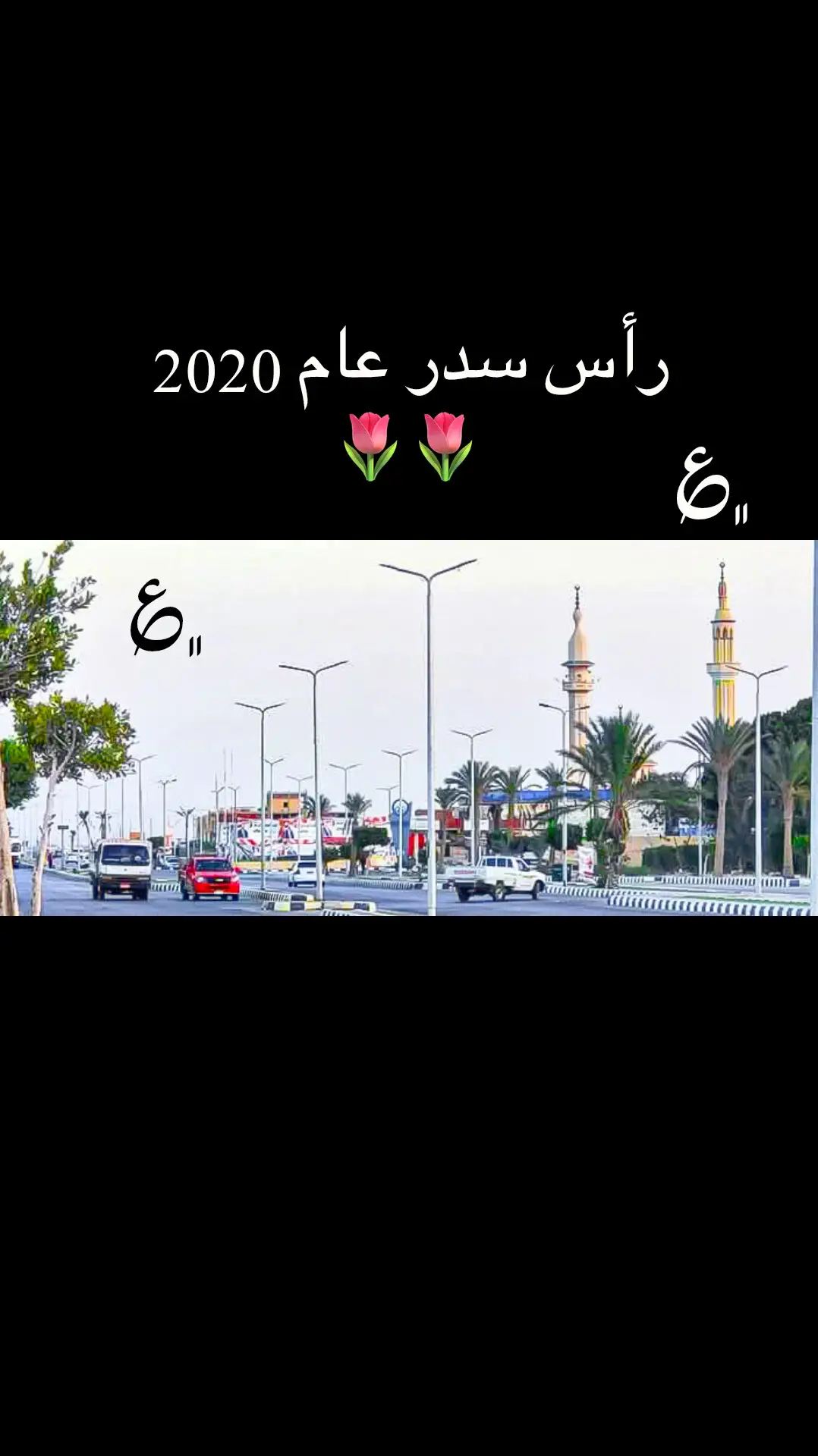 #🌷🌷 #جنوب_سيناء🌷🌷 