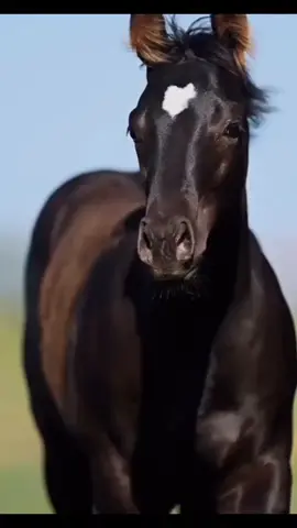 بأختصار....  بناقص الناااقص.... 