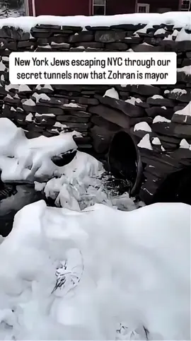 #creatorsearchinsights #viralvideos #fyp #foryoupage❤️❤️ #fypシ゚viral🖤tiktok☆♡🦋 @Gaza🇵🇸❤️ @𝔼𝕪𝕖 