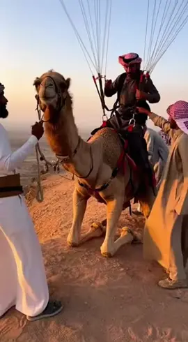 #keşfetteyizzz #keşfet #extreme #sports #world 