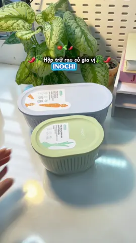 Hộp đựng rau củ quả và gia vị giải pháp bảo quản thực phẩm lâu và gọn #inochi #hopdungthucpham #hopdunghanhtoi #hopnhuadungthucpham #unboxcunghip 