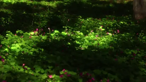 Đừng chỉ bận rộn với cuộc đời, hãy bận rộn có việc chăm sóc chính mình. #fyp #xuhuong 