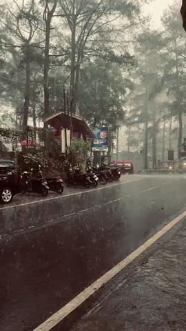 malino and hujannya #fyp#4u#malino 