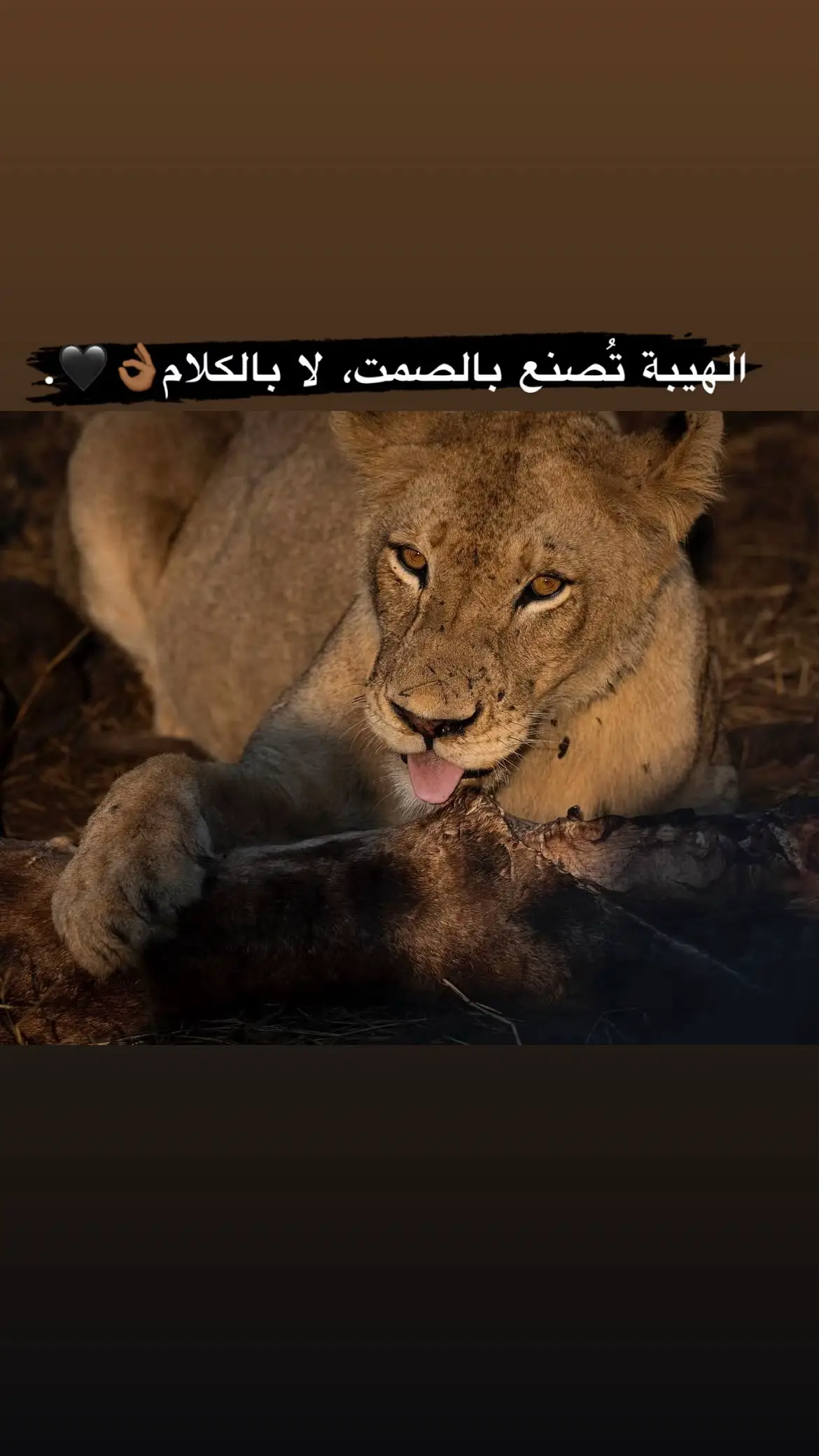 #🖤tiktok #fypage #اقتباسات #عبارات #fupシ゚viral 