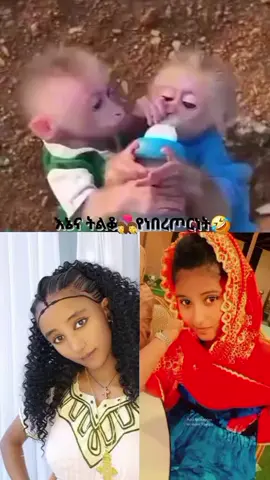@geni🦋yabatoa👸lji💃 እማጋጪሺ🤣@ሙሌ🤭_🕊⚡️ አገላጋይ🤗😉
