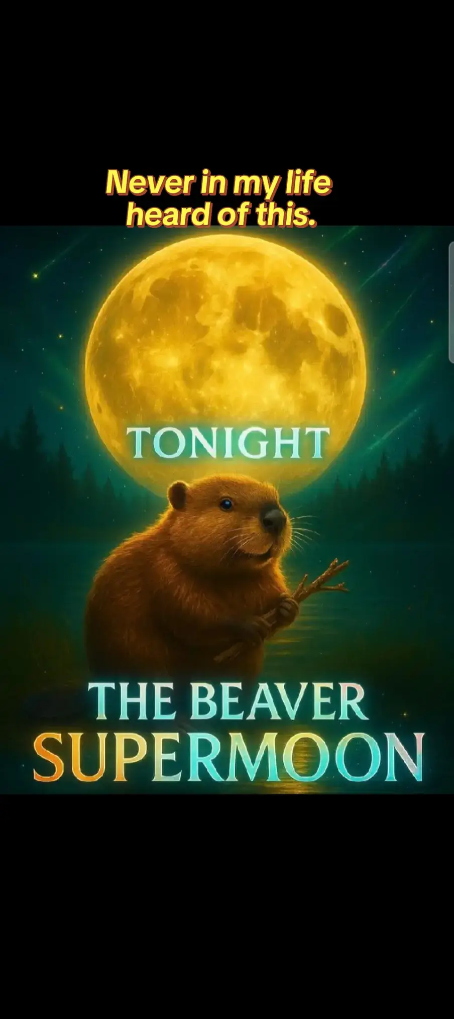 #what #haveyouever #iaintnever 