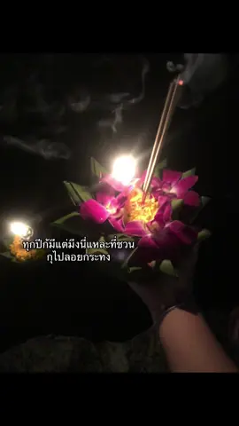 @🐨 #ฟีดดดシ 