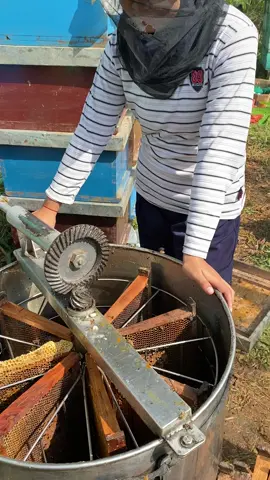 jangan lupa Alhamdulillah😇 #madumurni,ya Madu Lavi #lavinapanen 