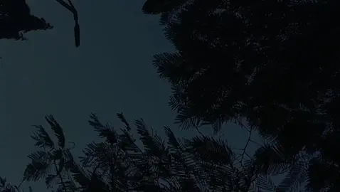 صالح الجعفراوي رحمه الله || سورة الرحمن ١~٨ #اللهم_اغفر_للمسلمين_والمسلمات #اذكر_الله #صلي_على_النبي #قرآن #صالح_الجعفراوي 