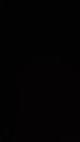 @QASIM ALI KING IS BACK🦅🔥 