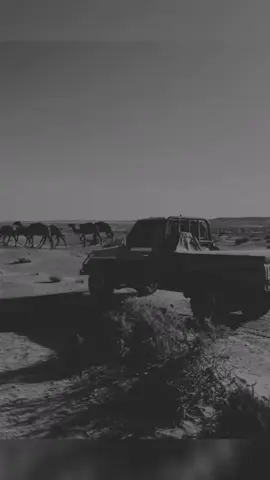 #اكسبلور_تصميم_المهاجر 