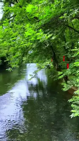 不需要拿别人的尺子，丈量自己的路，也无需用他人的辉煌，衡量自己的价值。不羡慕别人，不低看自己，生活万象，各有悲喜。人生航程，让我们做自己生命中的灯塔。#治愈系的风景 #山水 #人生感悟 