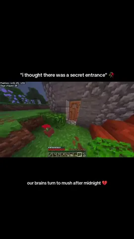 mb 🥀 #Minecraft #minecraftclips #mc #fyp #gaming 